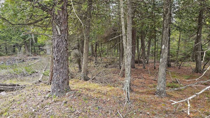 Lt 255 Pedwell Pt. Drive — photo 1