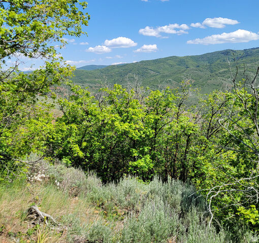 Property Photo:  12737 E High Pine Cir N 54  UT 84317 