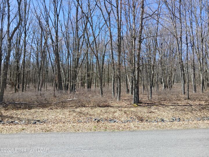 Property Photo: 108 Sweet Birch Drive PA 18202