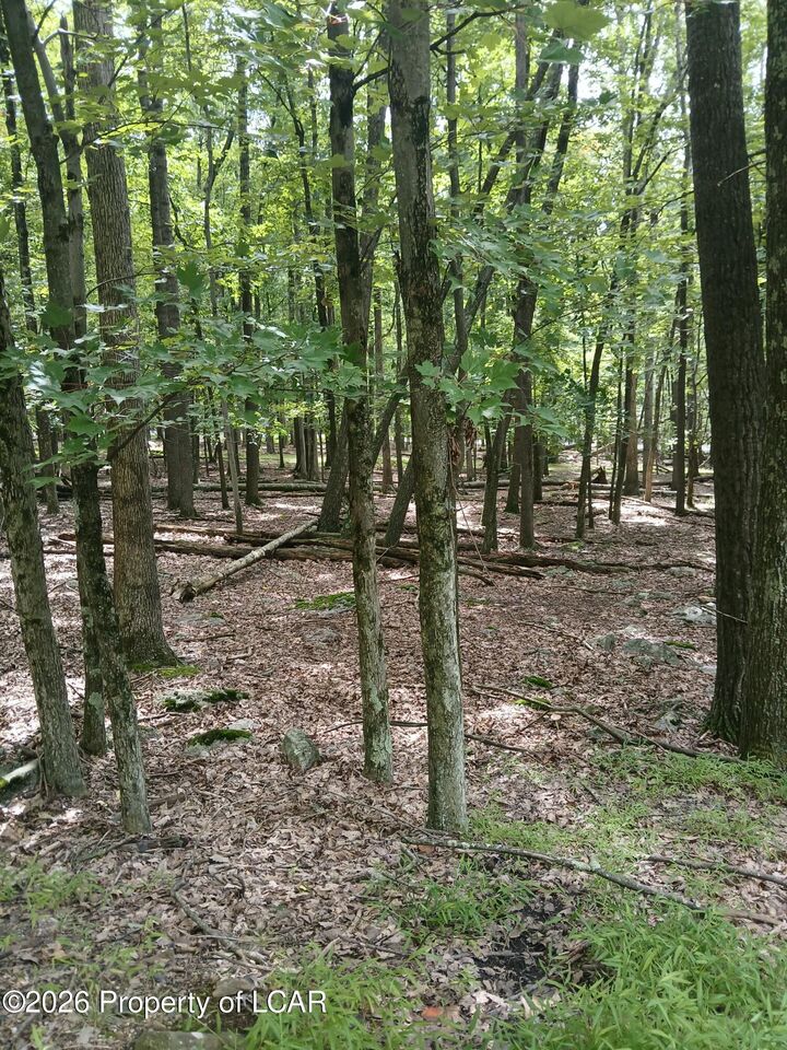 Property Photo:  108 Sweet Birch Drive  PA 18202 