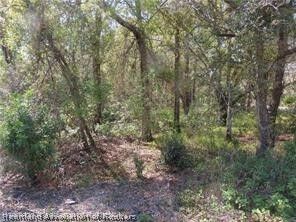 Property Photo:  6901 Burkett Avenue  FL 33875 