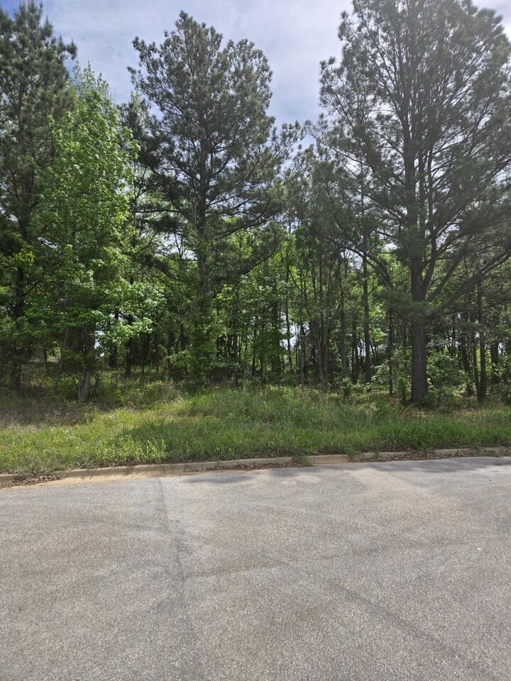 Property Photo:  Lot 7 Kenswick Dr  TX 75654 