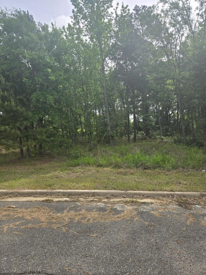 Property Photo:  Lot 7 Kenswick Dr  TX 75654 
