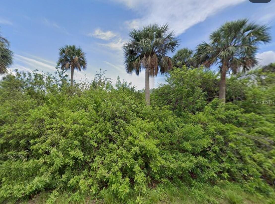 Property Photo:  14529 McMillin Avenue  FL 33953 