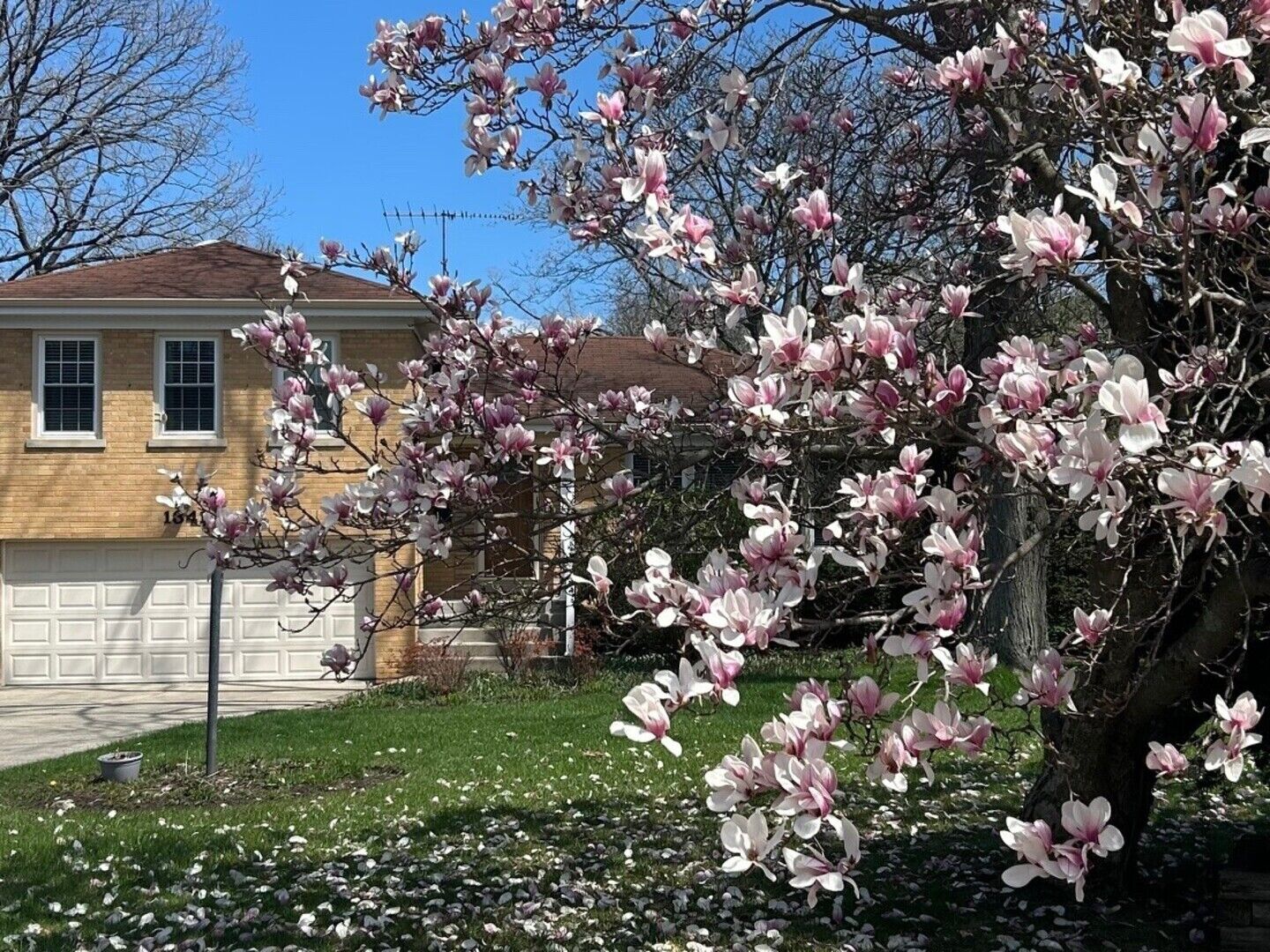Property Photo: 1341 Carlisle Place IL 60015