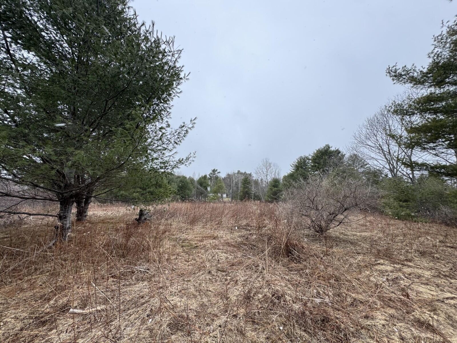 Property Photo:  Lot# Builder Lane  ME 04222 