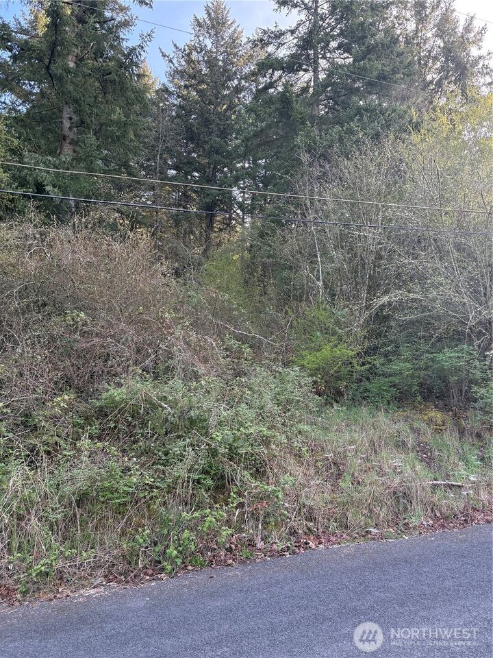 Property Photo:  0 NE Jefferson Street  WA 98532 