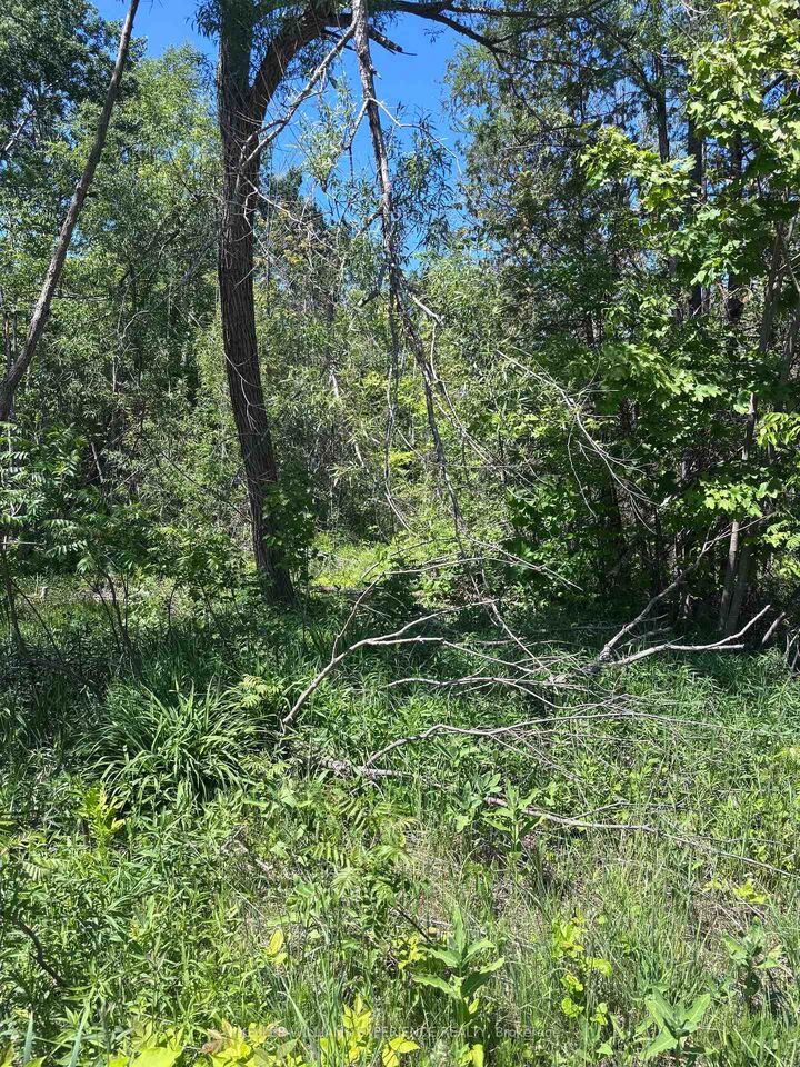 Property Photo:  1382 Wilson Point Road  ON L3V 0G7 