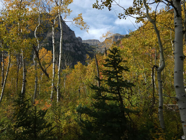 Property Photo: 7347 Jim Bridger Dr H47 UT 84317