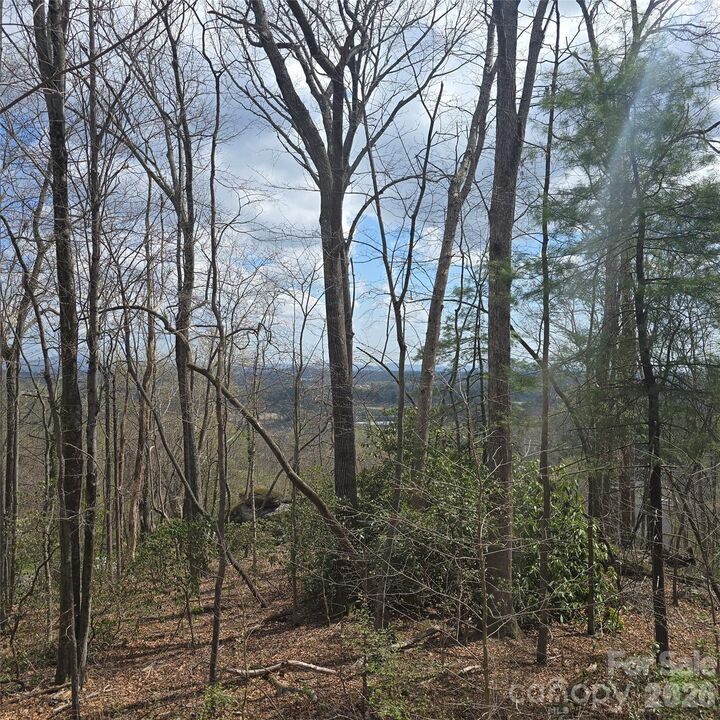 Property Photo:  185 Garnet Way Lot 13  NC 28791 