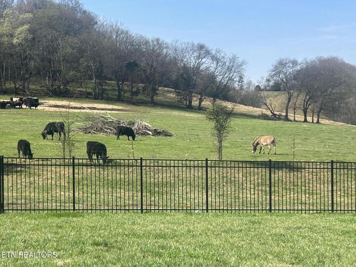 Property Photo:  2013 Farm Blvd  TN 37876 