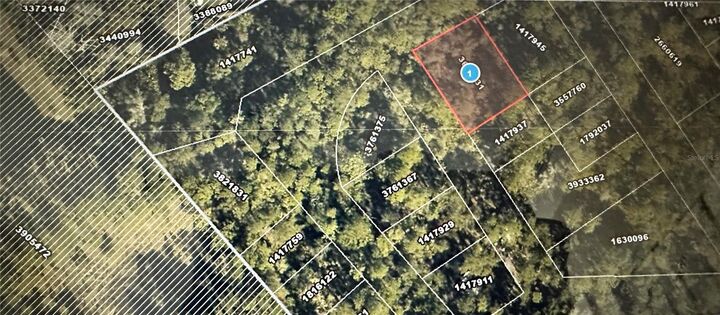 Property Photo:  Lots 77 &Amp 78 Park Forest Boulevard  FL 32757 
