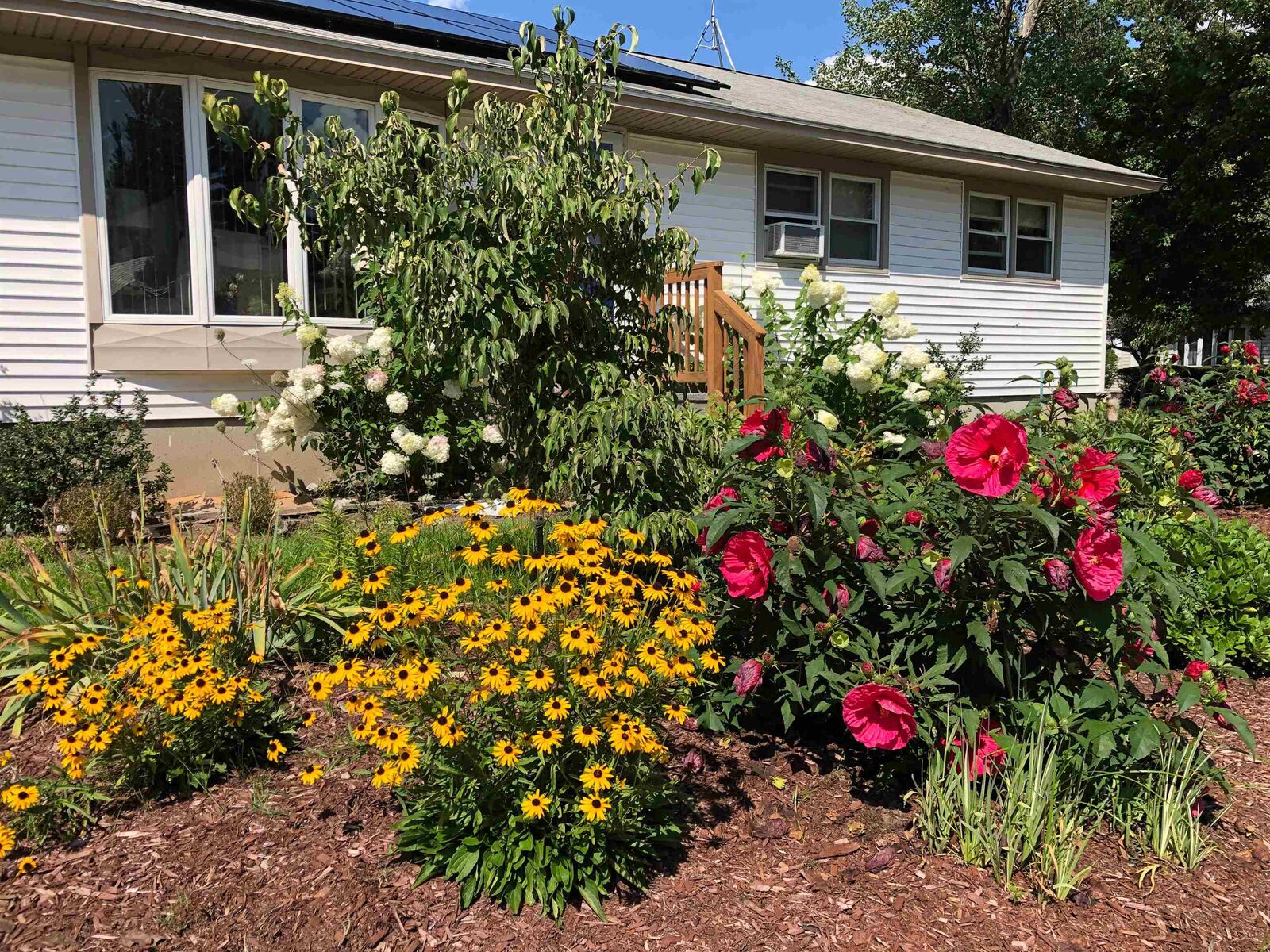 Property Photo: 12 Fernand Street NH 03103