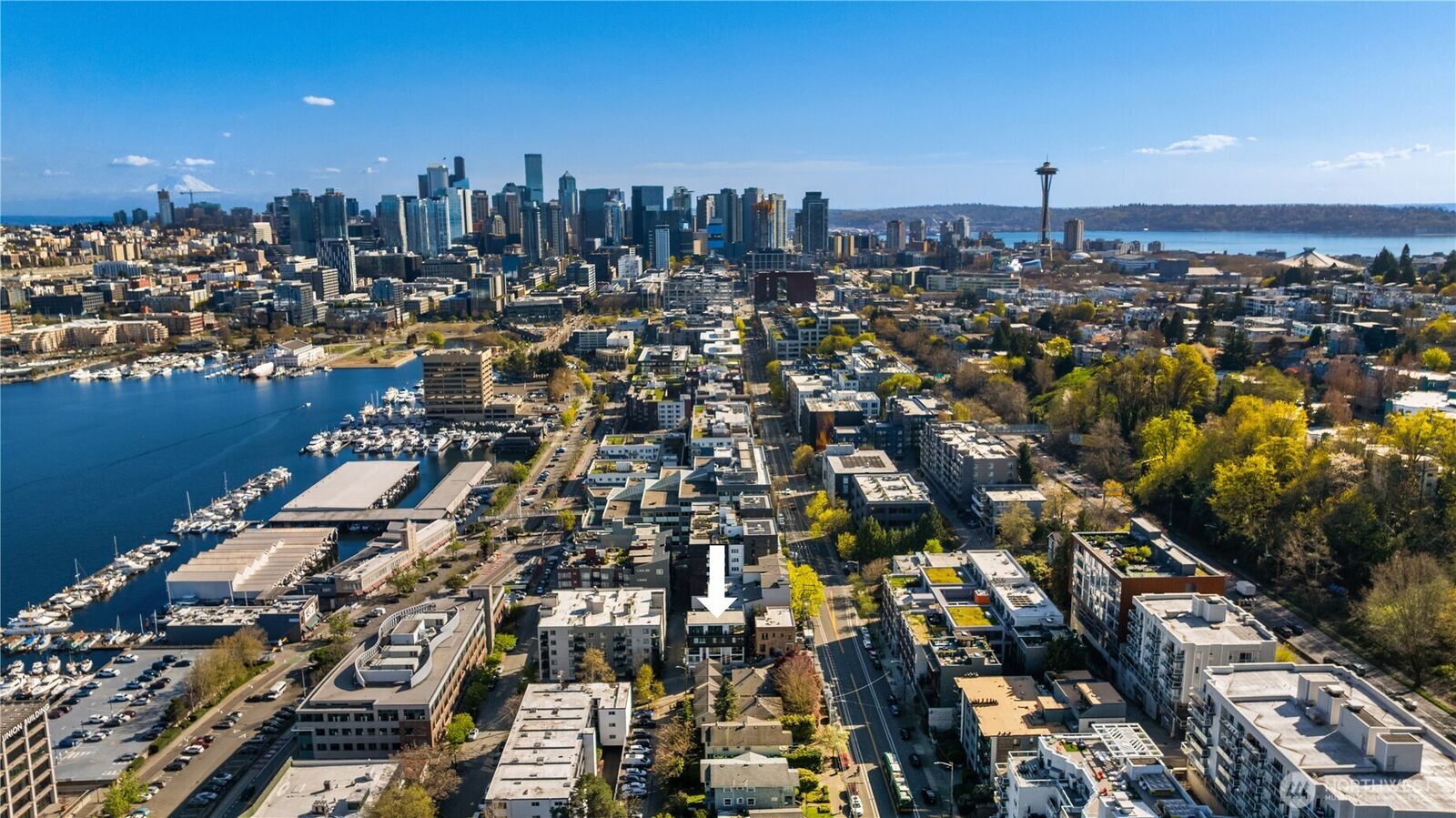 Property Photo:  755  Hayes Street  WA 98109 