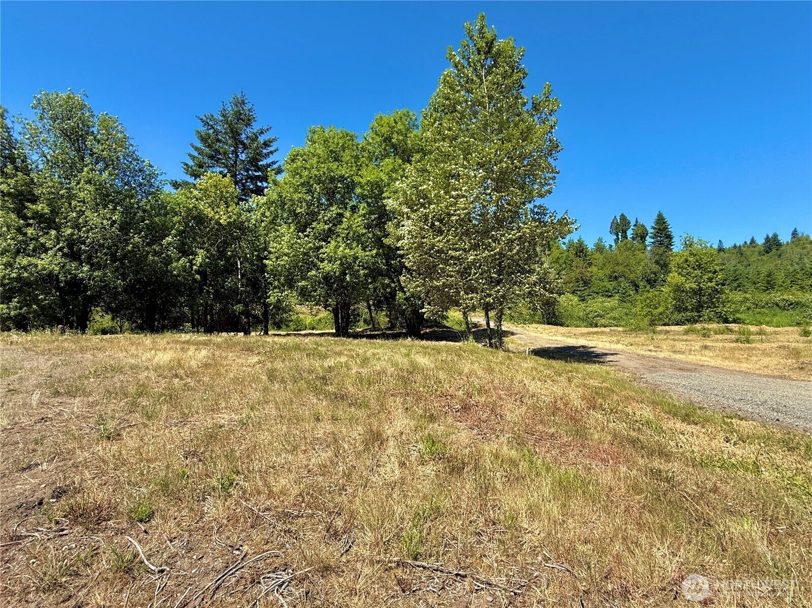 Property Photo:  127  Sawall F  WA 98531 