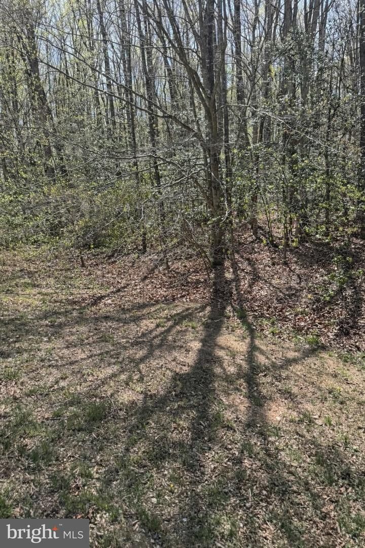 Property Photo:  8839 Old Block House Lane  VA 22551 