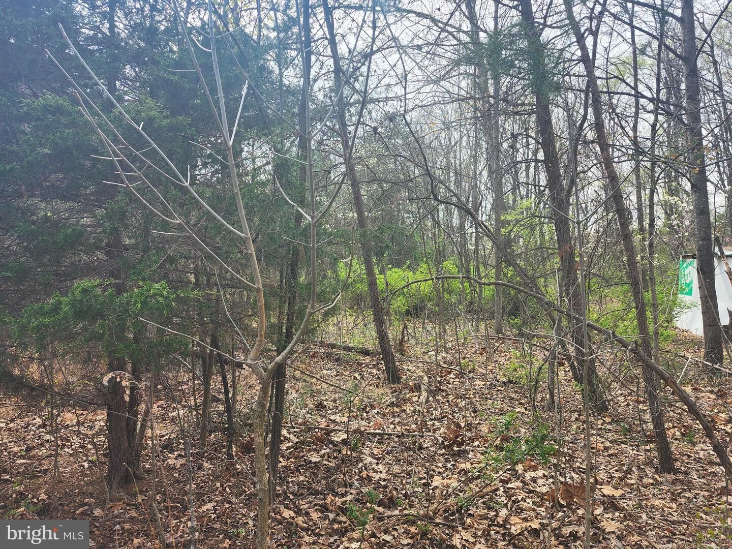 Property Photo:  Lot 25 Shumac Trail  WV 26704 