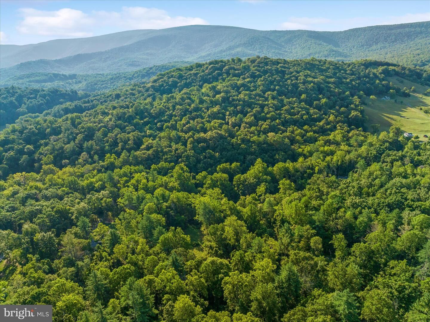 Property Photo:  49A4 Gooney Manor Loop  VA 22610 