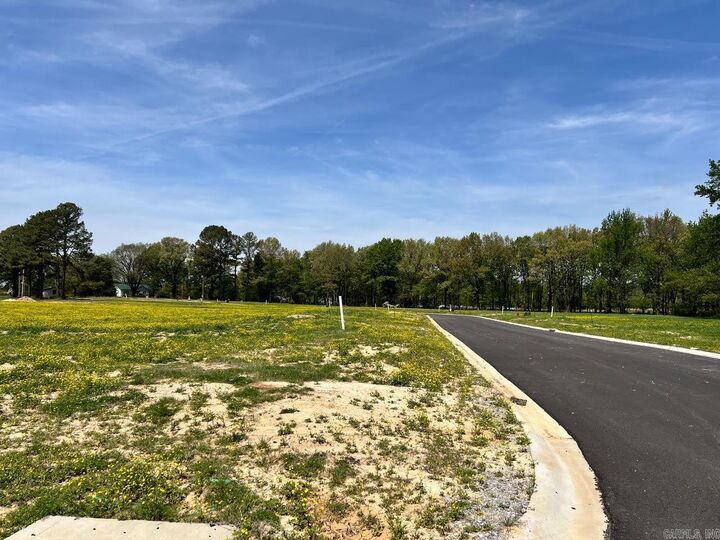 Property Photo:  111 Horseshoe Creek Drive  AR 72417 