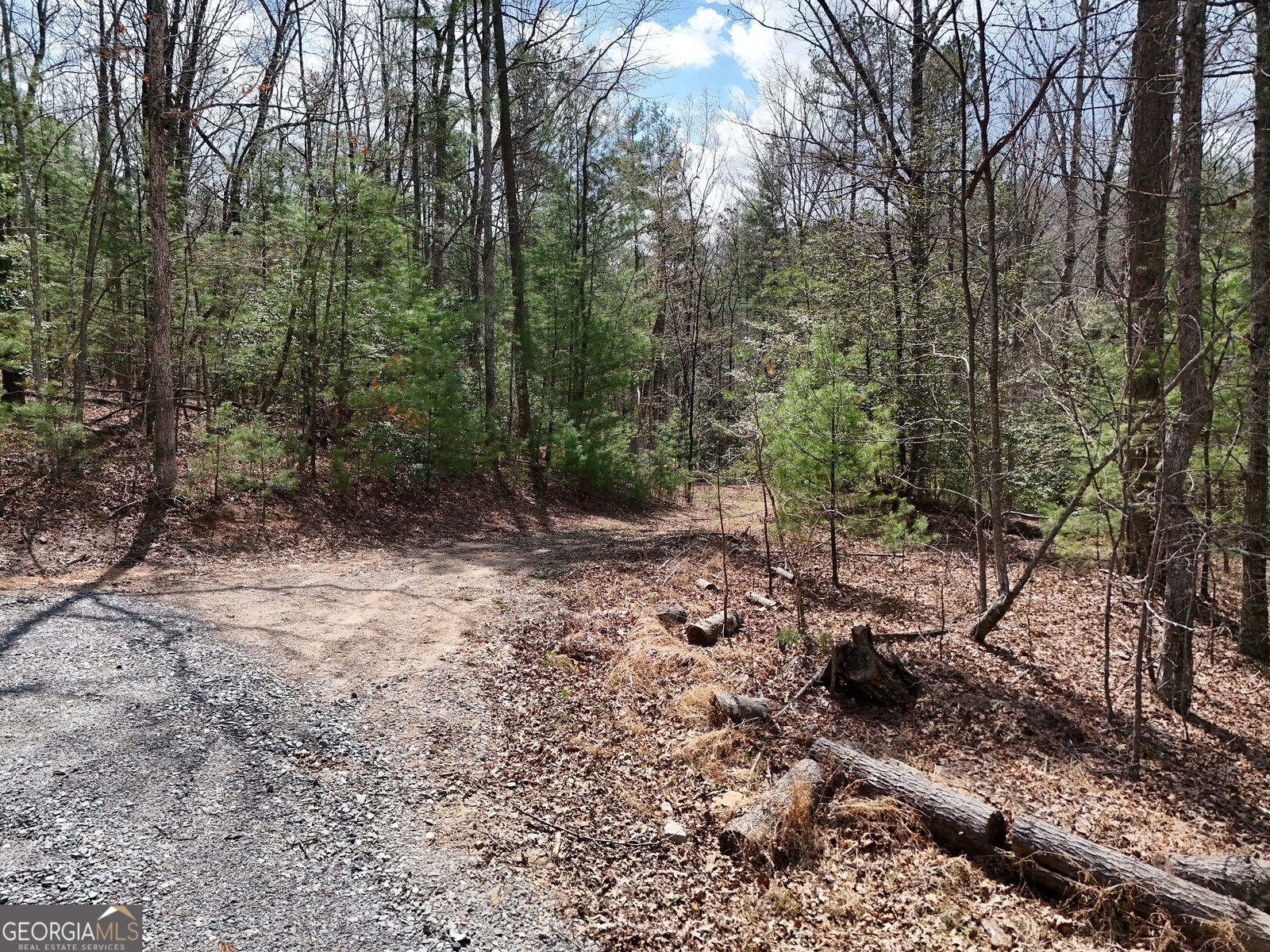 Property Photo:  Lt 117 Laurel Trace  GA 30513 