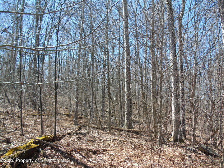 Property Photo: 145 Summit Woods Road PA 18444