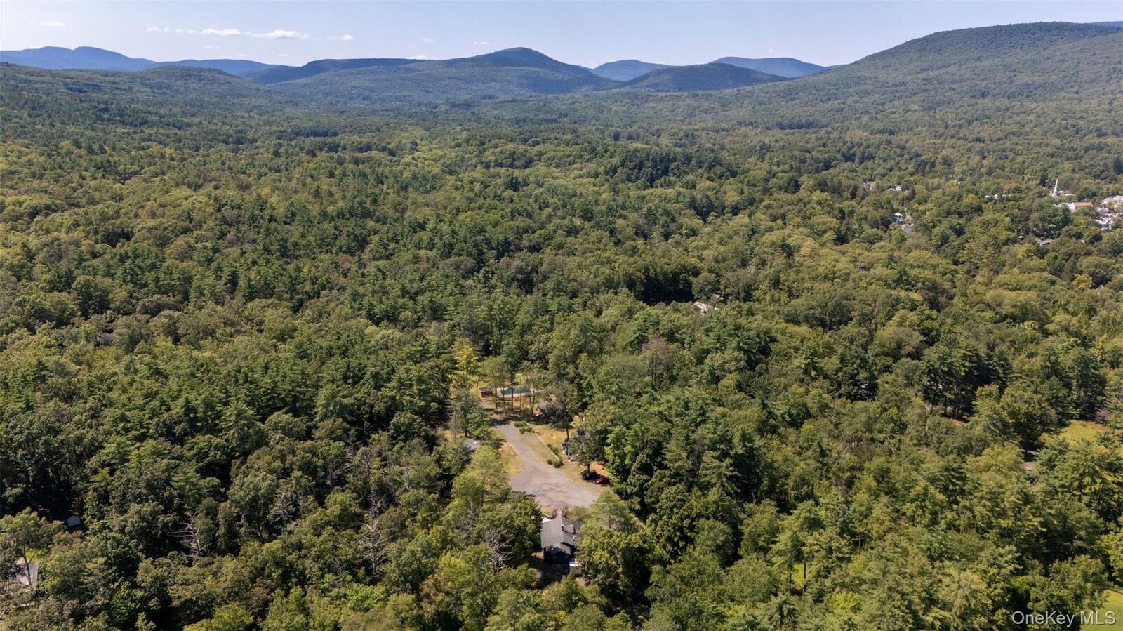 Property Photo:  20 Country Club Lane  NY 12498 