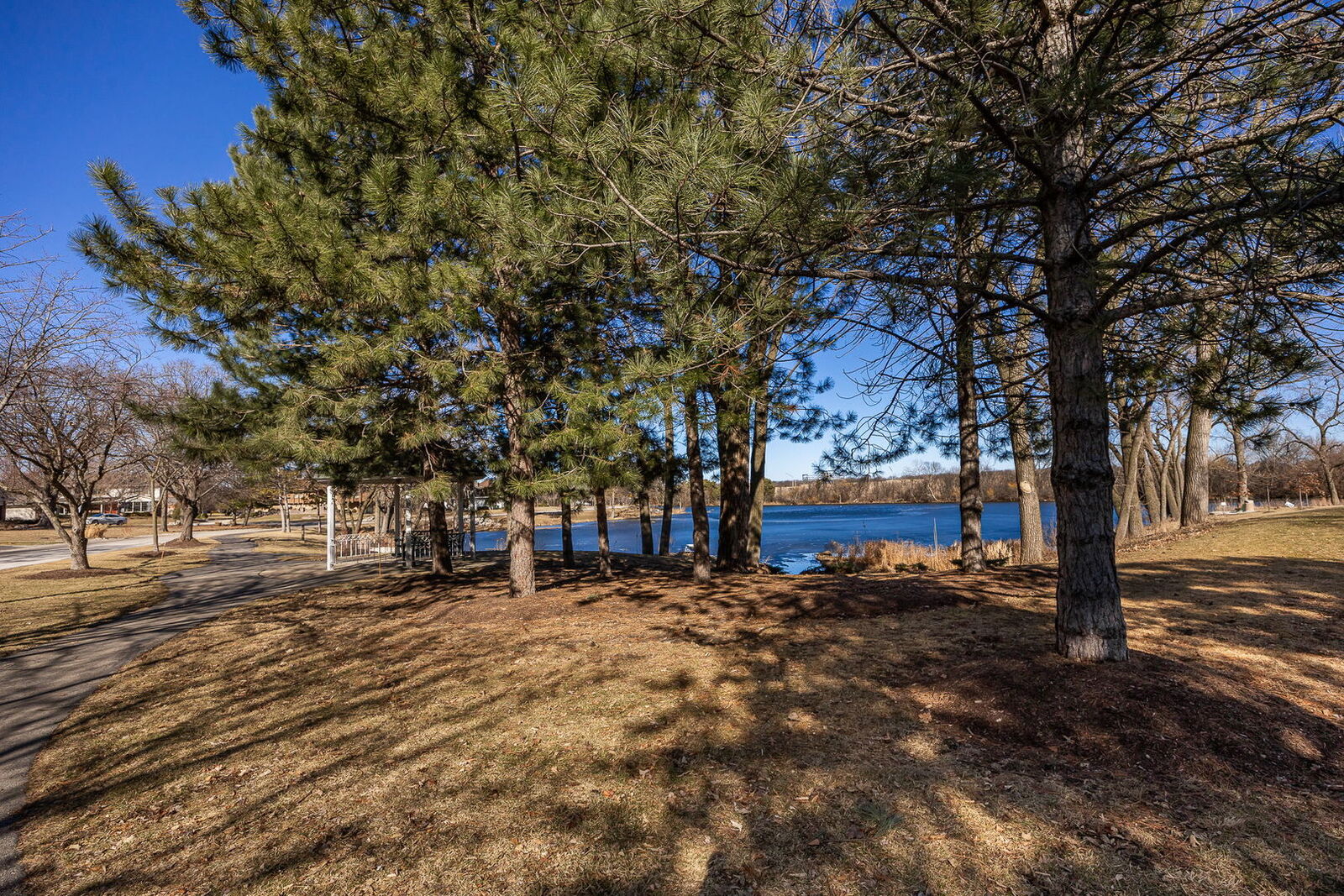 Property Photo:  140 Carriage Way Drive C218  IL 60527 