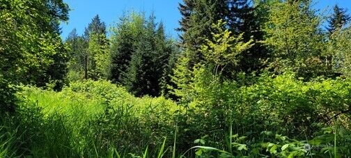 Property Photo:  825  99th Avenue SE  WA 98258 