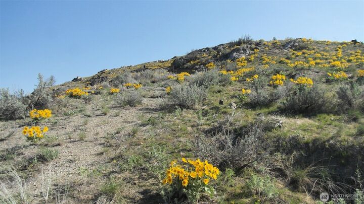 Property Photo: 33 Avery Road WA 98834