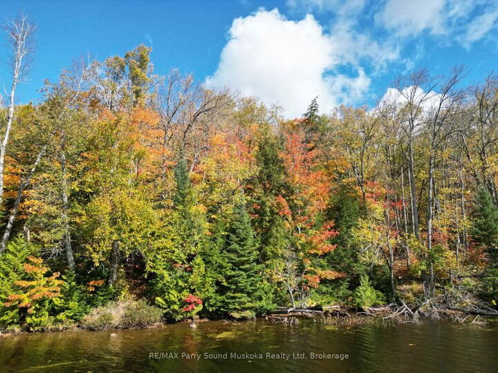 Property Photo: 353C Balsam Creek Road ON P0H 1S0