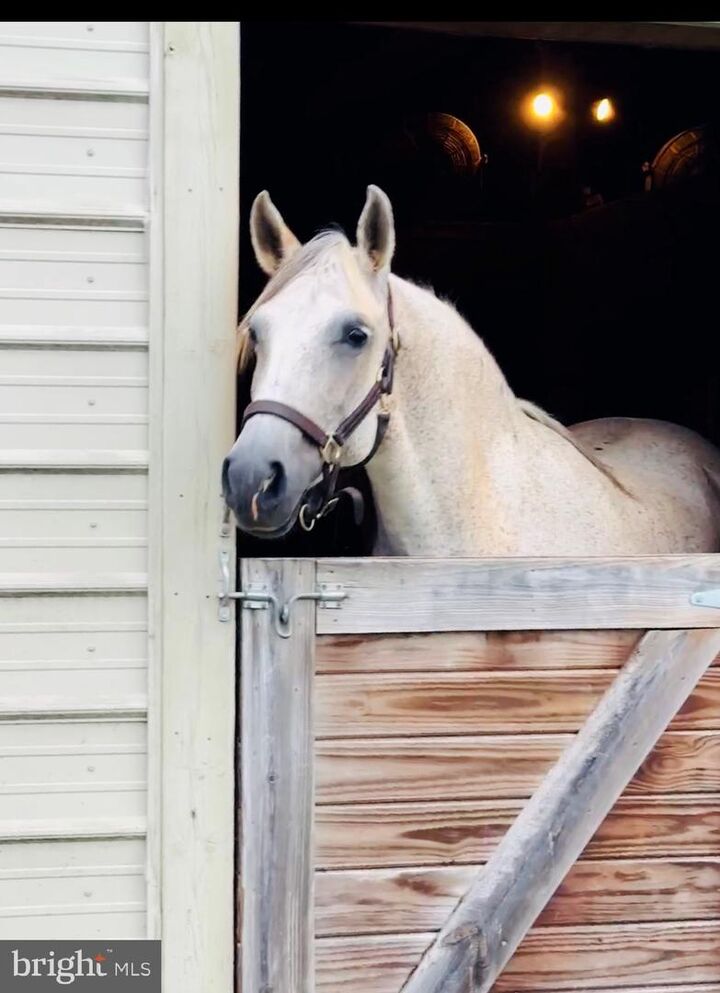 Property Photo:  15095 Little Dry River Road  VA 22830 