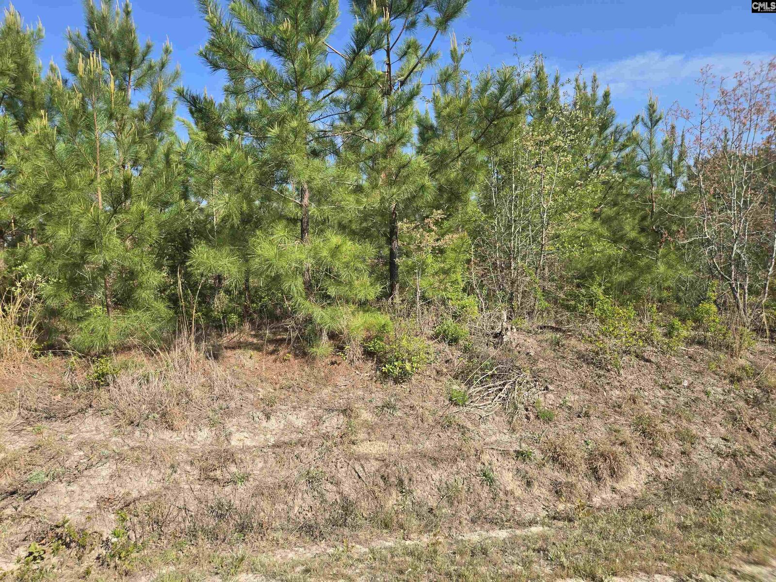 Property Photo:  952 Mt Zion  SC 29020 