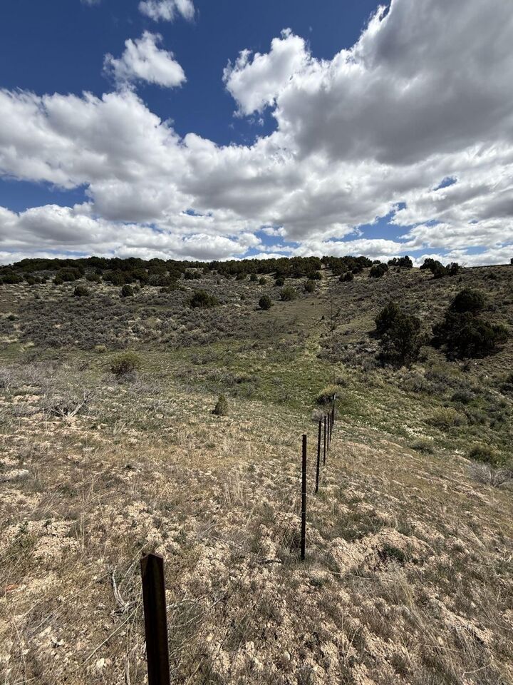 Property Photo:  006-31A-029  NV 89801 