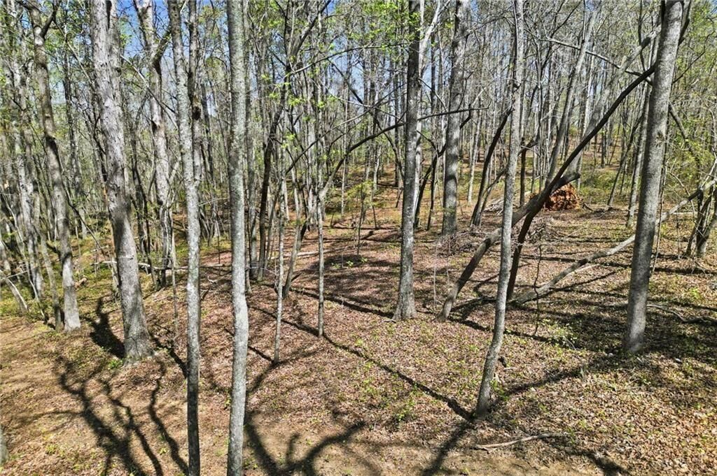 Property Photo:  109 Heritage Plantation Drive  GA 30107 