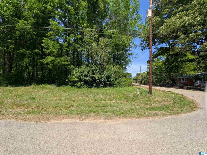 Property Photo:  0 McKinney Street 0  AL 35904 