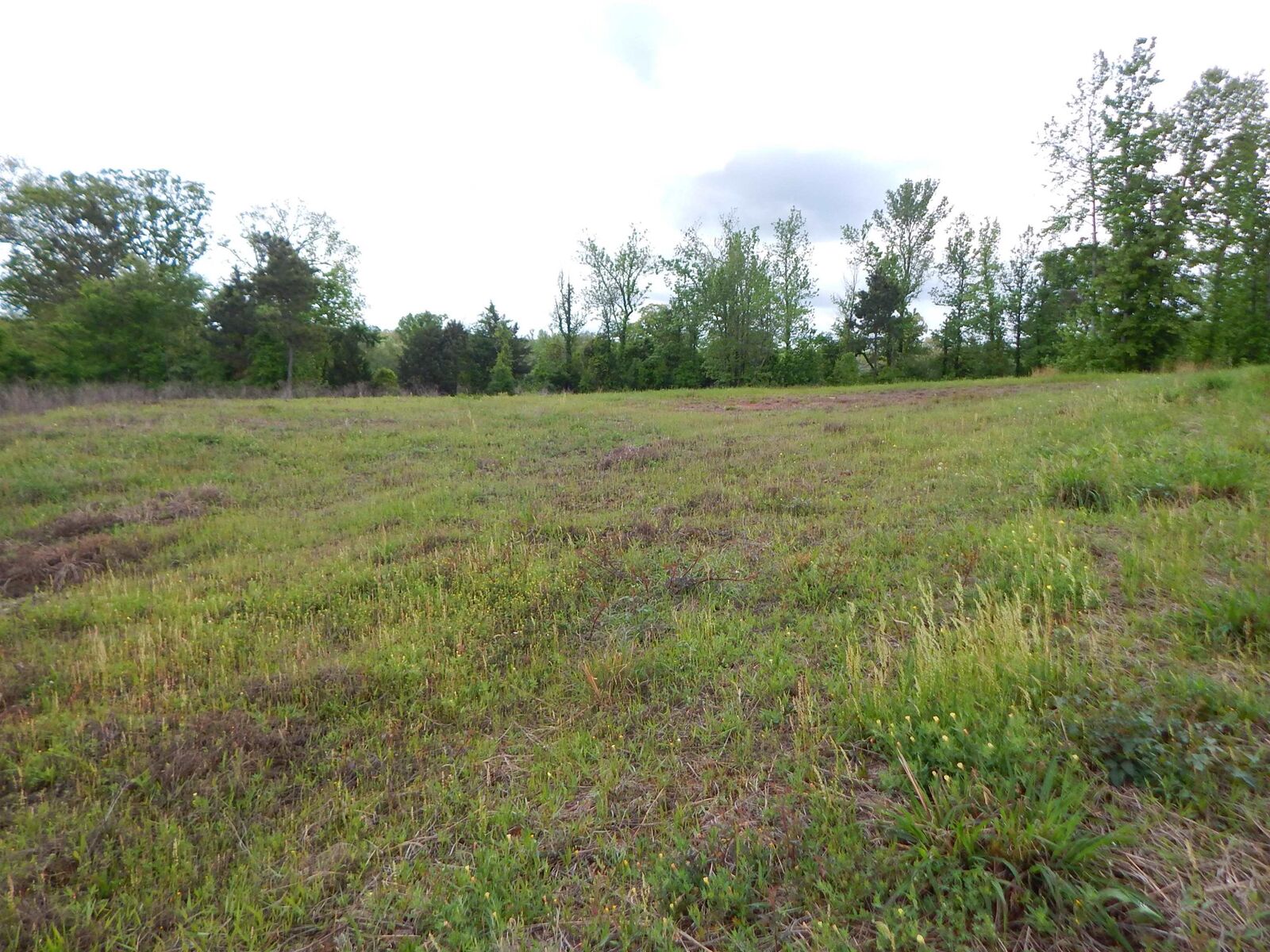 Property Photo: Tbd Eagle Court TX 75640