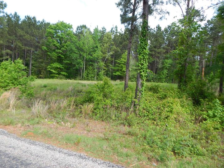 Property Photo:  Tbd Falcon View  TX 75640 