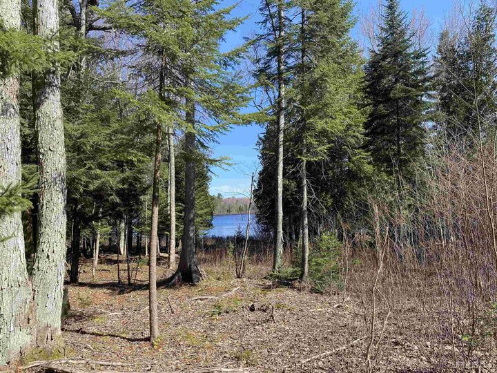 Property Photo:  Tbd Lot 23 Keweenaw Pass  MI 49945 