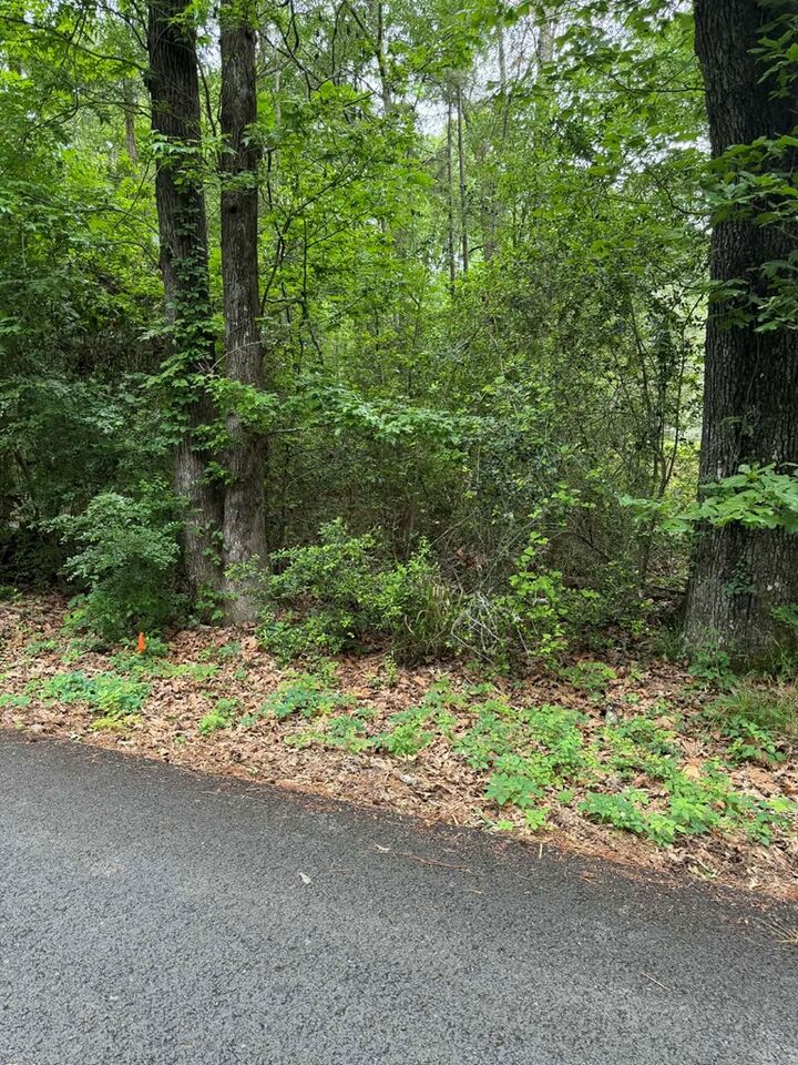 Property Photo:  Lot 3 Old Gobblers Knob Rd  TX 75901 