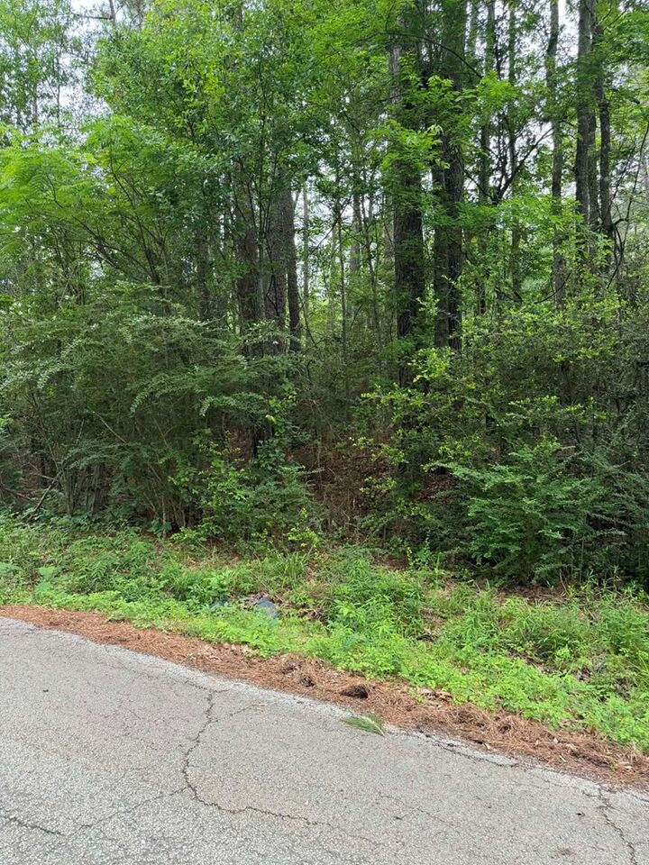 Property Photo:  Lot 6 Old Gobblers Knob Rd  TX 75901 