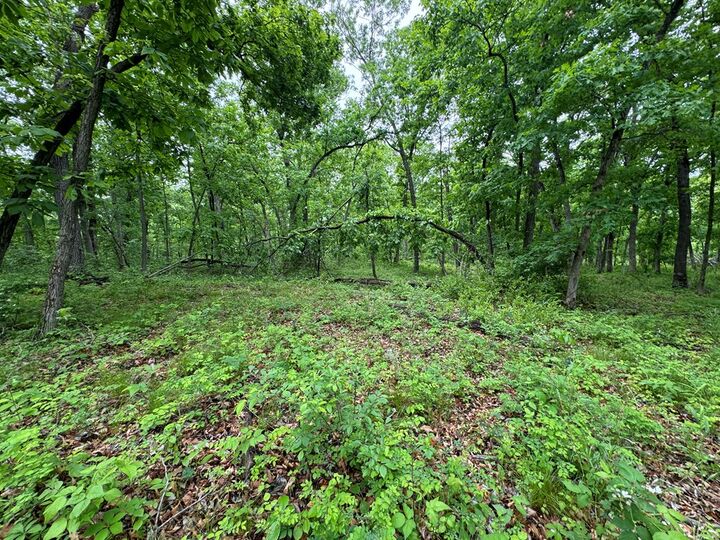 Property Photo:  Xxx State Highway A & Cardinal Way  MO 63546 