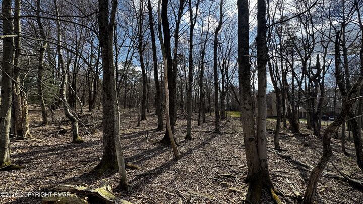 Property Photo:  Stony Mountain Road  PA 18210 