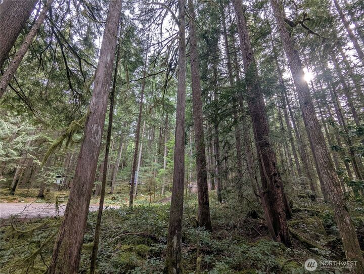 Property Photo:  66  Skagit Way  WA 98267 