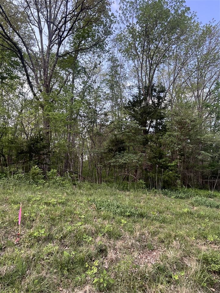 Property Photo:  Lot 1 Antioch Church Road  KY 42280 