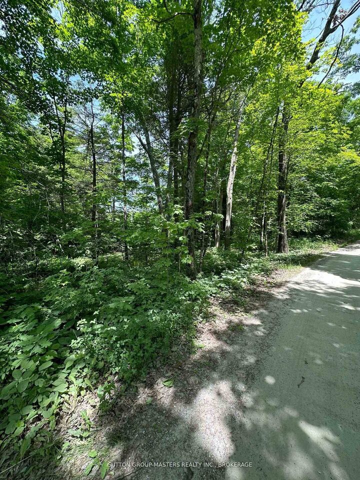 0 Maple Grove Lane E — photo 1