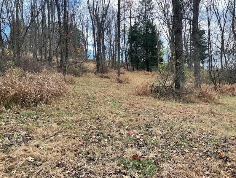 Property Photo: 000 Hilton/Margurite Rd PA 15601