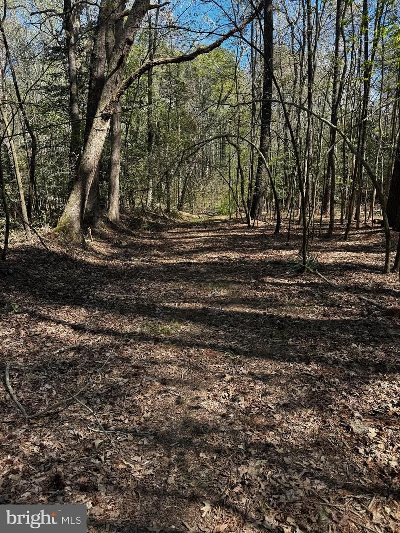 Property Photo: 0 Public Landing Road MD 21863
