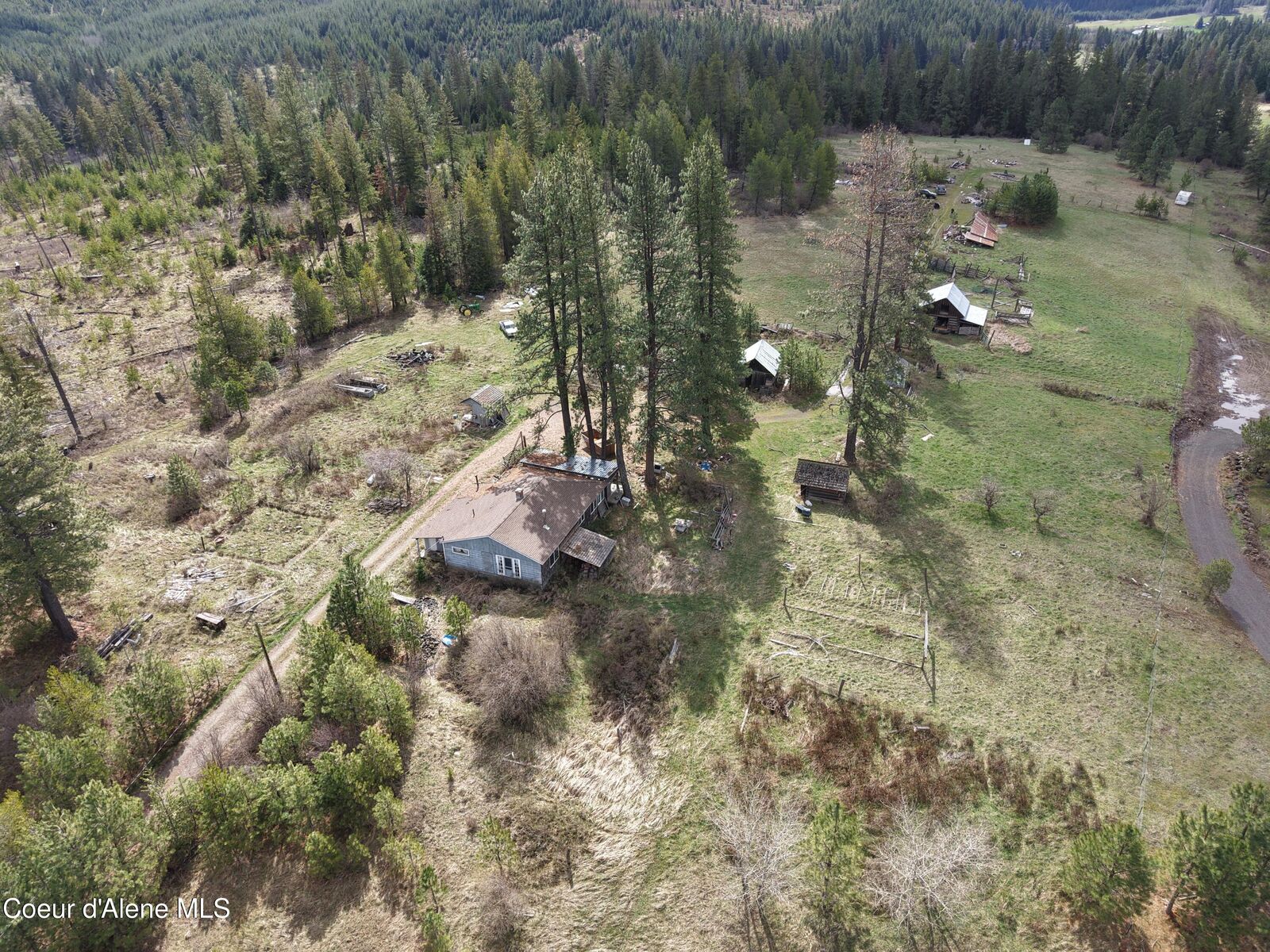 Property Photo:  7971 Windfall Pass Rd  ID 83861 