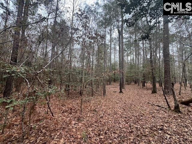 Property Photo:  1128 Tookie Doo  SC 29045 