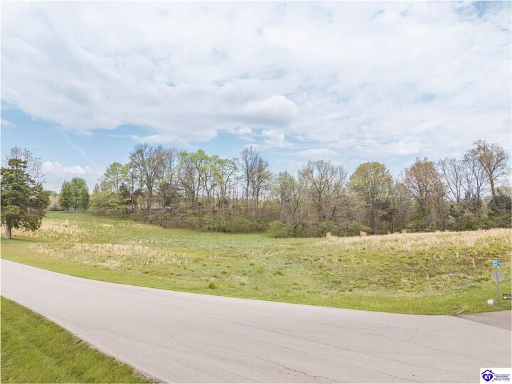 Property Photo:  0 Mayer Lane  KY 42701 